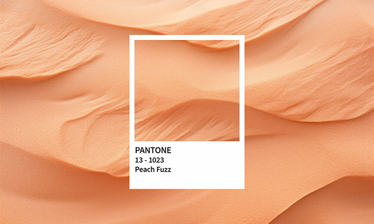 Pantone Farbkarte mit Farbe des Jahres 2024: Peach Fuzz
