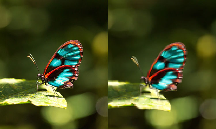 Bild ist richtiger und falscher Auflösung