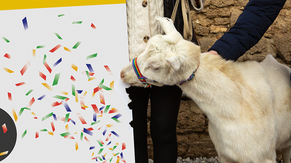 Ziege Lieselotte mit dem druck.at Scheck Ziege Lieselotte mit dem druck.at Scheck