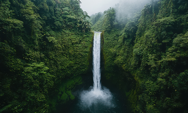 Cinematic Photography eines Wasserfalls im Wald Cinematic Photography eines Wasserfalls im Wald