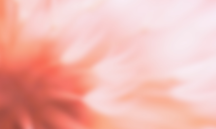 Hyperbloom in Rosa und rot Hyperbloom in Rosa und rot